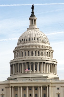 United States Capitol Dome lit at night with Observer's Lounge title card reading Are Checks and Balances Dead?